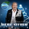 Dieses Mal (Die Ballade) - Bert Silver