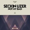 Not My Bad - Seckin Uzer