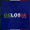 Gelosia - Zcalacee&ARA