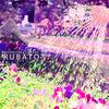 Water The Flowers - Rubato