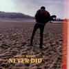 Never Did - James Watss