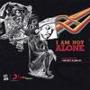 I Am Not Alone (Harry Wolfman Remix) - Bandish Projekt