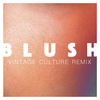 Blush (Vintage Culture Remix) - Elekfantz&Vintage Culture