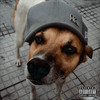 Cachorro (Explicit) - Leozera