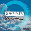 Dreaming (Radio Edit) - Pesco DJ