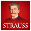 Enjoy Your Life Waltz - Strauss Orchestra Vienna&Johann Strauss&Norbert Neukamp