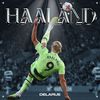 HAALAND (Explicit) - Delarue