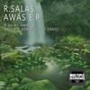 Wet Grass (Original Mix) - Paola&Adriana