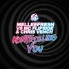 Kontrolling You (Original Mix) - Melleefresh&MC Flipside&Chris Vench