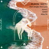 Playon Mayto (Alley SA Remix) - Don Jongle&Vice Luna&Cafe De Anatolia&Alley SA