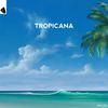 Tropicana - Fake ID&Arman Yskakov