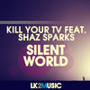 Silent World (D-Stroyer Remix) - Kill your TV&Shaz Sparks&D-Stroyer