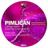 Deep Love (Instrumental Mix) - Pimlican