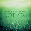 Not You (Original Mix) - Deep Sound Effect