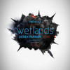 Wetlands (Derek Farnan Remix) - Techflex&Derek Farnan