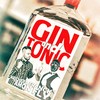 Gin and Tonic (Short Version) - Maschera Franck&Amon Fly