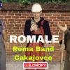 Roma Band Cakajovce Romale - LIL SAM BYO