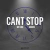Can't Stop - BOY FLOSS&Cashden&Eric Fokanov