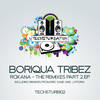 Roxana (Eric Sand Remix) - Boriqua Tribez