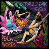 A Little Bit Wiser - Paul Izak&Shazam