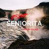 Seniorita (Explicit) - Grande