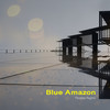Paradise Regime(Re Master) - Blue Amazon