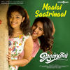 Maalai Saatrinaal (From 