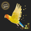 Limitless (Dub Mix) - Michael Reeze