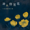 樱吹雪 - 林明仪