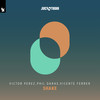 Shake (Original Mix) - Victor Perez&Phil Daras&Vicente Ferrer