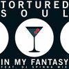 In My Fantasy (Jask's Thaisoul Temptation Mix) - Tortured Soul