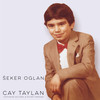 Seker Oglan - Cay Taylan&Stuart Freeman&Aziz Erol