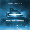 Stunner (Radio Mix) - Omeed Damerchi