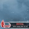 open Your Soul To Me (Original Mix) - Irvina
