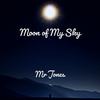 Moon of My Sky - Mr Jones