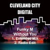 Without You (Extended Mix) - Funky M