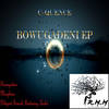 Diligent Search (Original Mix) - C-Quence&Linka