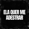 Ela Quer Me Adestrar (Explicit) - DJ Roca&DJ Guuh&DJ Léo da 17&MC Lipvox&Love Fluxos&Funk Mandelão Fluxos