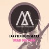 Mad Nation - David Howmall