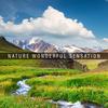 The Beautiful Harmony - Nature Tribe&Echoes of Nature&Nature Sounds Artists