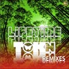 Lifetime (Steffi meets Compact Grey Remix) - Tokn