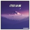 C'est la vie - DJ Breakbeats