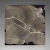 All I Wanna Do - Pedro Sanmartin&Camilla Luna