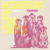Journeyman (Trickski Remix) - Forss