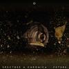 Future (Original Mix) - Spectree&Chronica