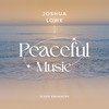 Enchanted Journey - Joshua Lowe