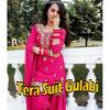 Tera Suit Gulabi - Akki Lohiya&Rajeshwari