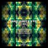Selcouth (Plus Thirty Remix) - N'Pot&Nahue Juarez