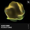 In Search Of Sunrise (Extended Mix) - Aleksey Ekimov