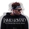 Tu crois qu'elle joue (Explicit) - James Izmad